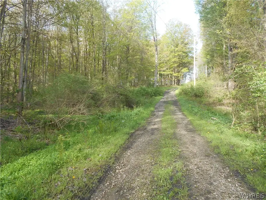 0 Neamon Drive, Delevan, NY 14042 - #3