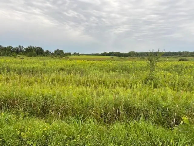 23xxx Olympic Street, Brook Park, MN 55007 - #3