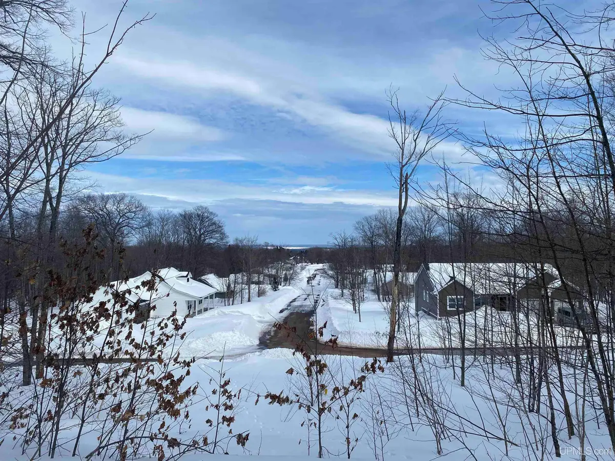 TBD Lot 23 S Whealkate, South Range, MI 49963 - #1