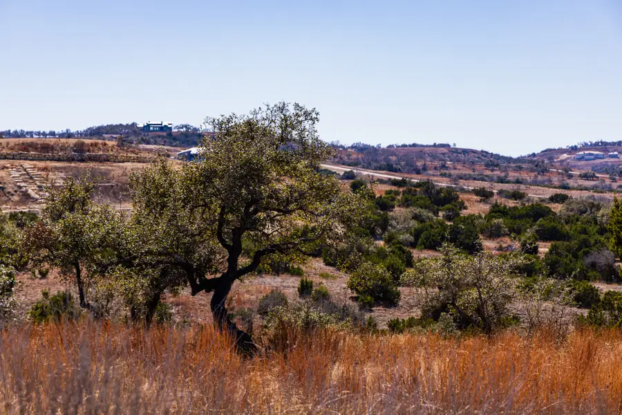 717 N Scenic Hills, Blanco, TX 78606 - Image #3