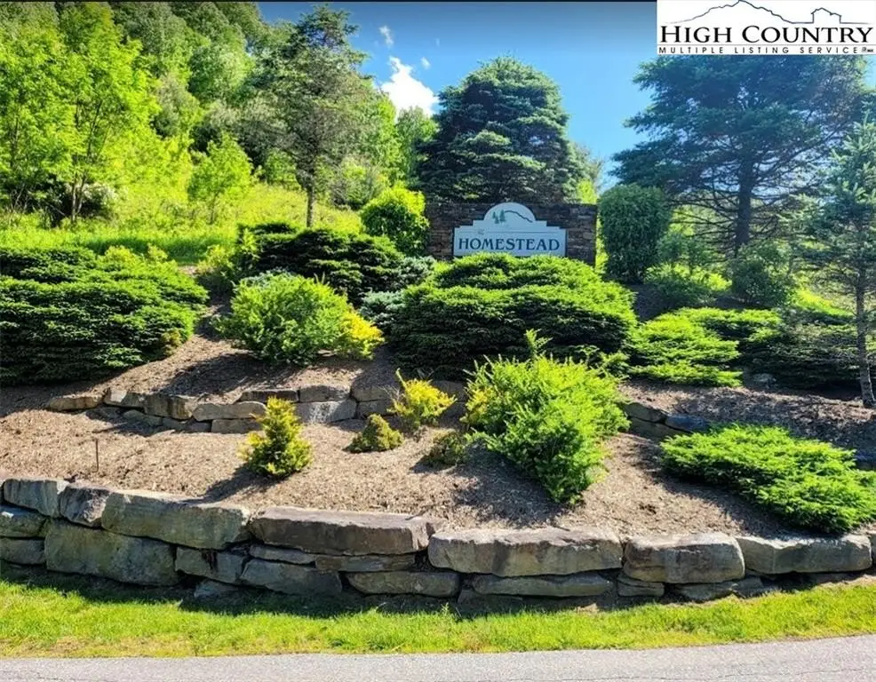 TBD Lucky Leaf Lane, Vilas, NC 28692 - Image #1