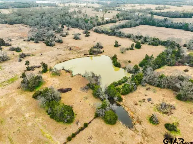 000 State Hwy 110, Van, TX 75790 - Image #1