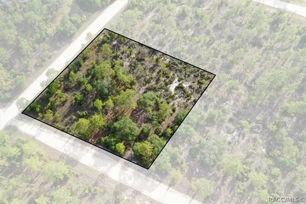0000 NE 132nd Lot 5 Terrace, Williston, FL 32696