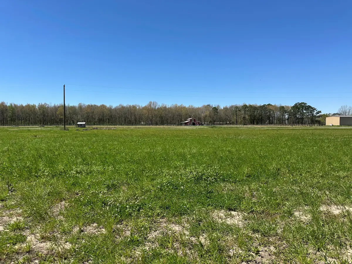 9765 Skynet Lane, Bueche, LA 70729 - Image #1