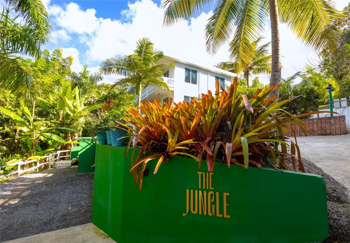 Carr. 413 Int.  Km 4 The Jungle, Rincon, PR 00677 - #1