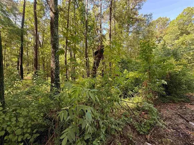 TBD CR 4194 Tr-2, Henderson, TX 75654 - Image #1