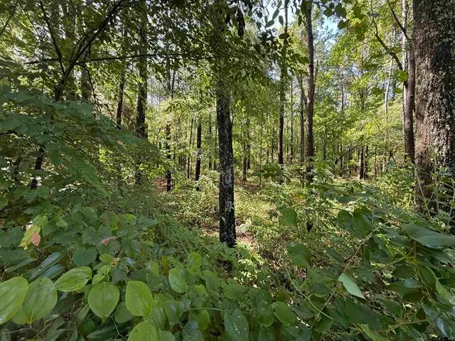 TBD CR 4194 Tr-2, Henderson, TX 75654 - Image #2