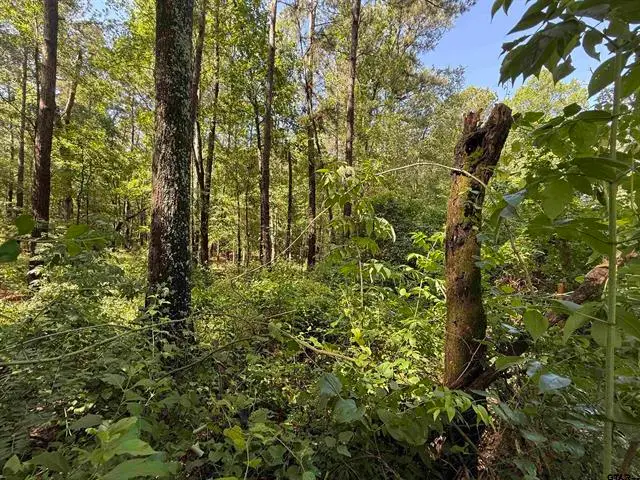 TBD CR 4194 Tr-2, Henderson, TX 75654 - Image #3