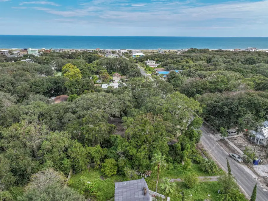 0 Lewis Street Lot 9, Fernandina Beach, FL 32034 - Image #3