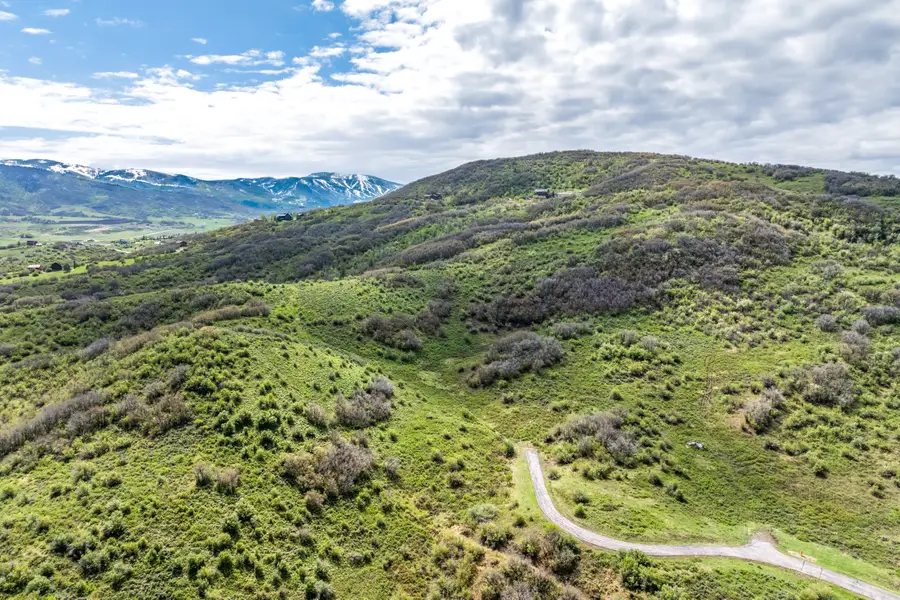 42295 Story Teller Lane, Steamboat Springs, CO 80487 - Image #3