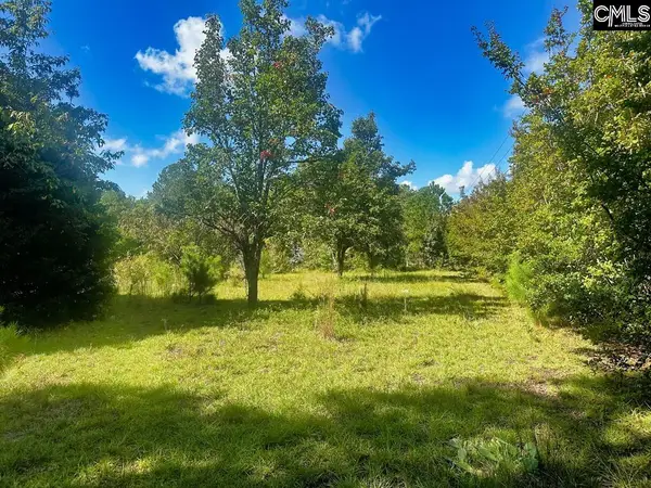 1392 Boiling Springs Road, Lexington, SC 29073