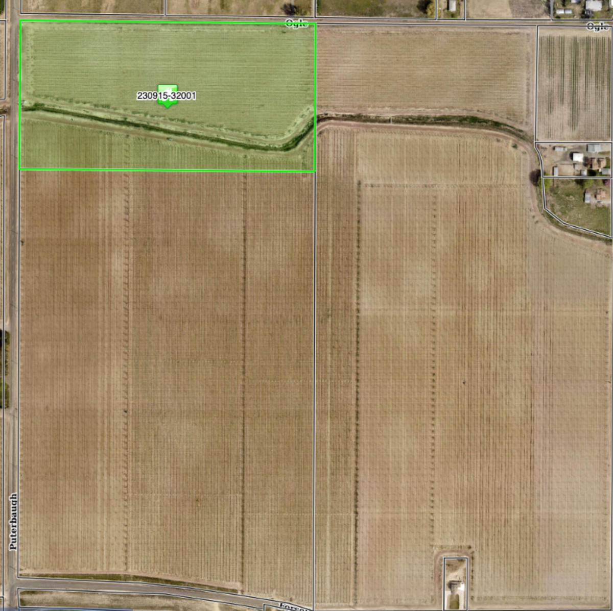 TBD Puterbaugh/forsell Rd, Grandview, WA 98930 - Image #1