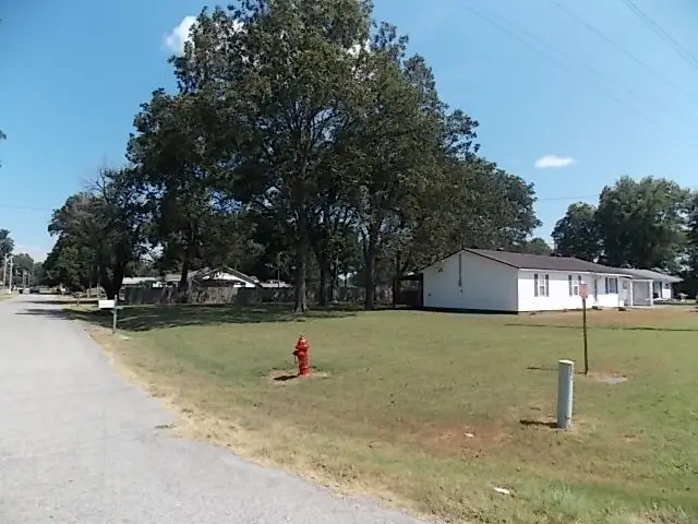 401 S 3rd St, (hwy 164) Street, Arbyrd, MO 63821 - #2