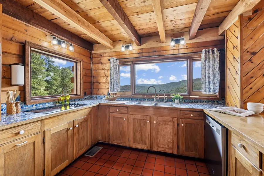 3907 Ridge Rd, Nederland, CO 80466 - #3