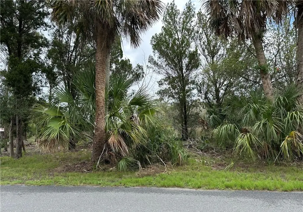 12345 W Standish Drive, Homosassa, FL 34448 - Image #1