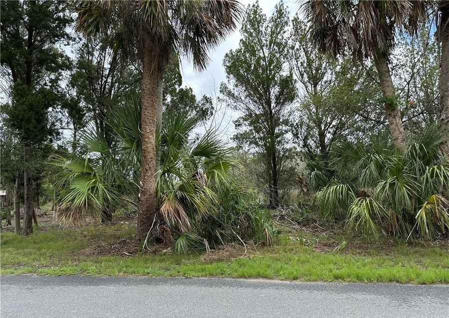 12345 W Standish Drive, Homosassa, FL 34448 - Image #2