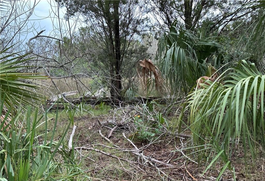 12345 W Standish Drive, Homosassa, FL 34448 - Image #3