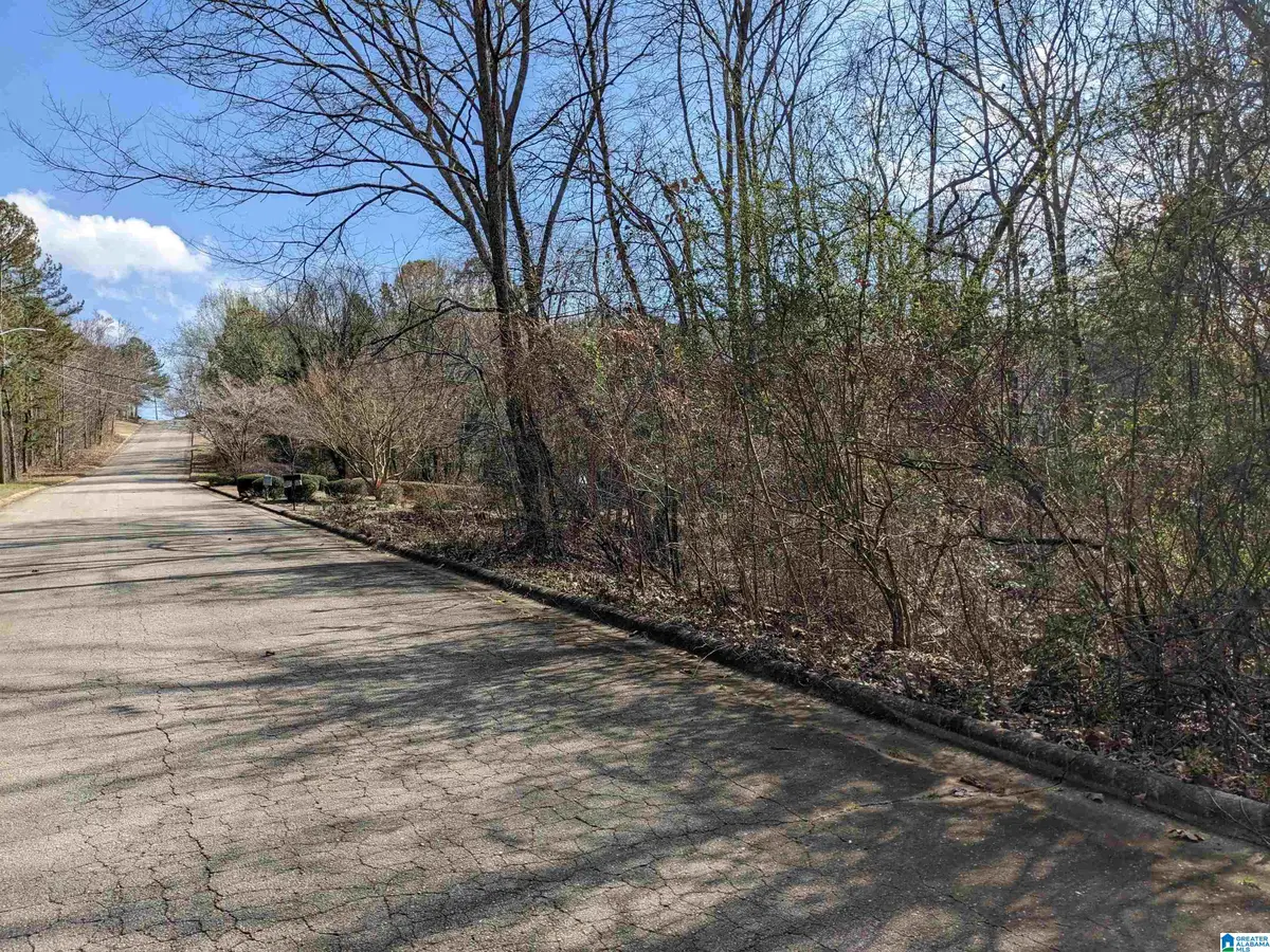 0 HATHAWAY HEIGHTS ROAD, Anniston, AL 36207 - Image #1