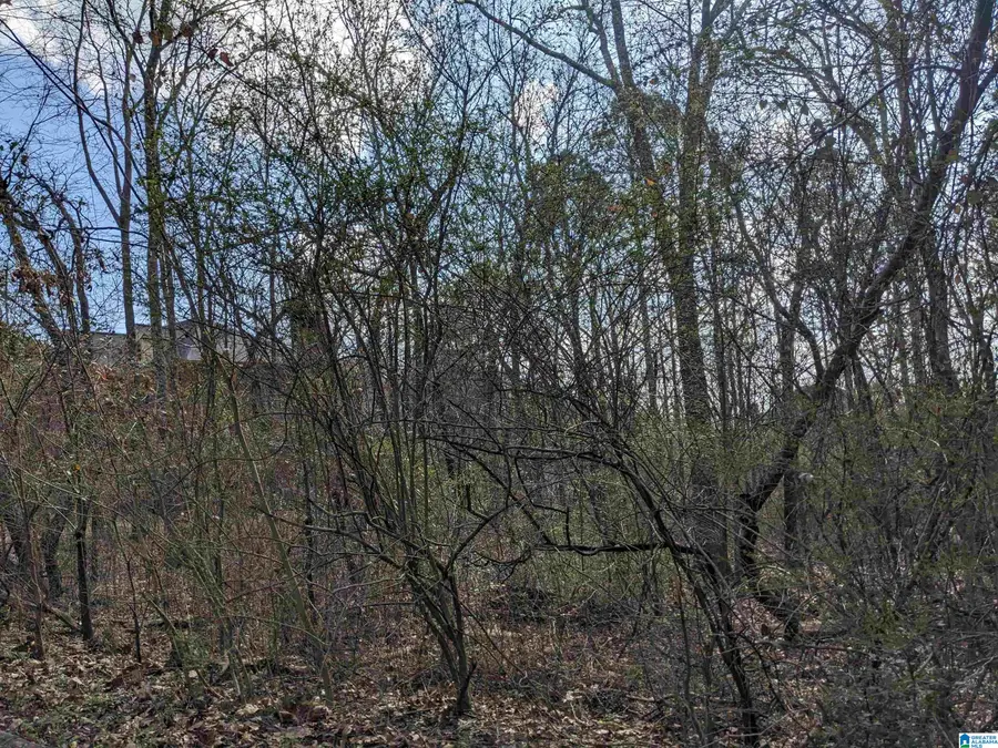 0 HATHAWAY HEIGHTS ROAD, Anniston, AL 36207 - Image #2