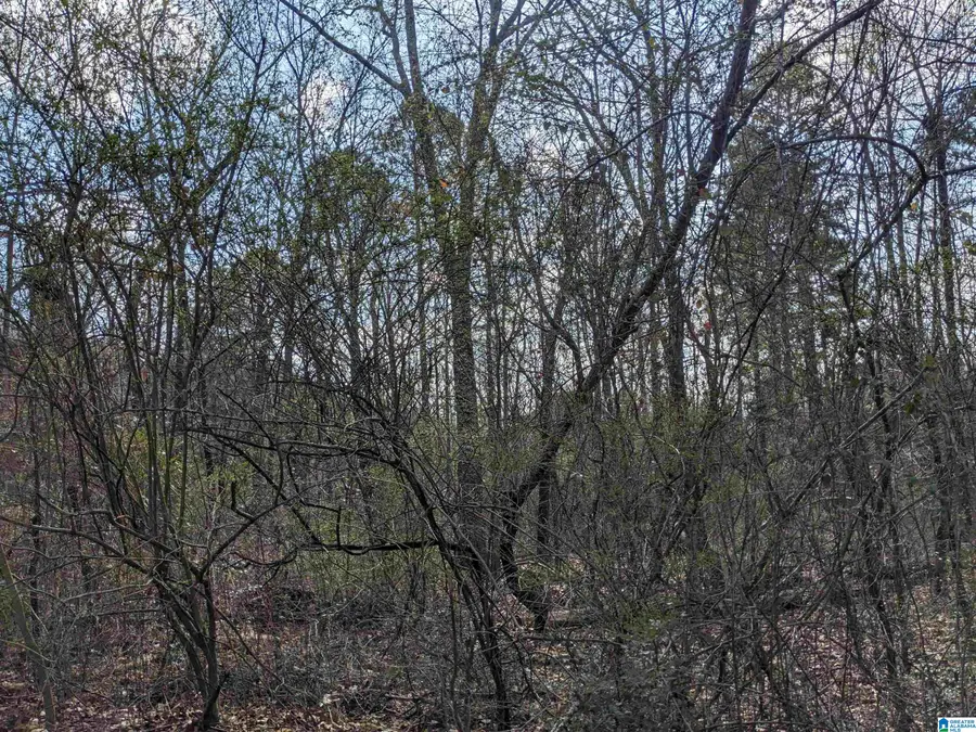 0 HATHAWAY HEIGHTS ROAD, Anniston, AL 36207 - Image #3