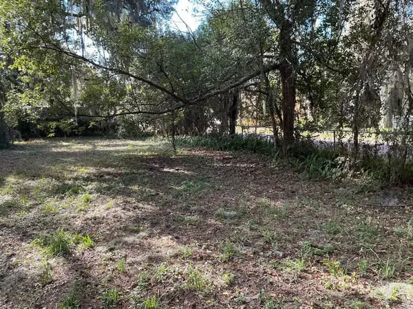 117 Nellie Street, Palatka, FL 32177