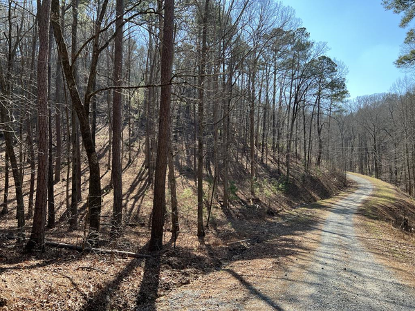 1243R Onyx Court, Ranger, GA 30734