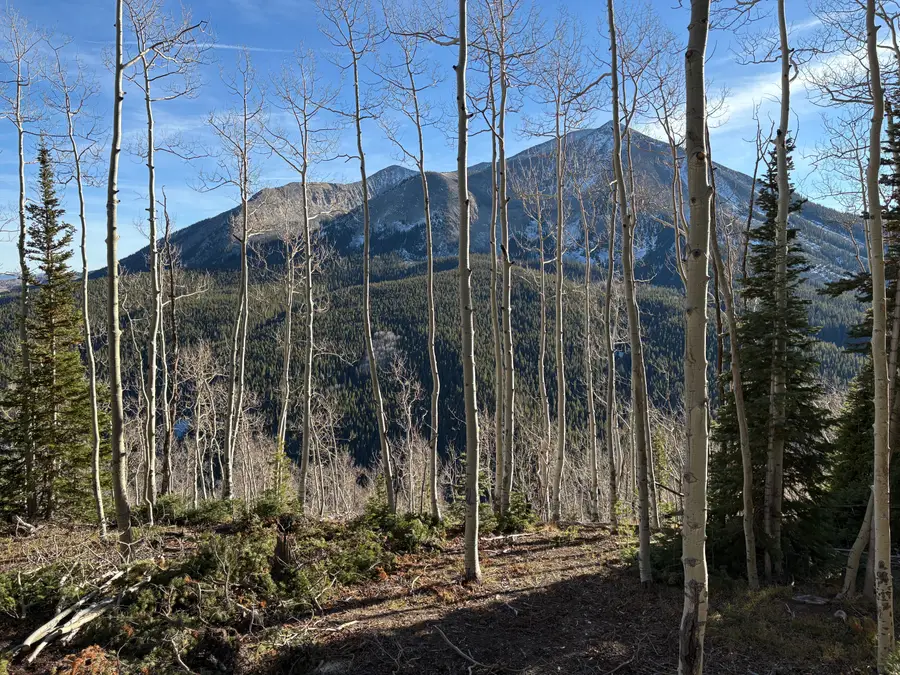 980 Saddle Ridge Road, Crested Butte, CO 81224 - #2