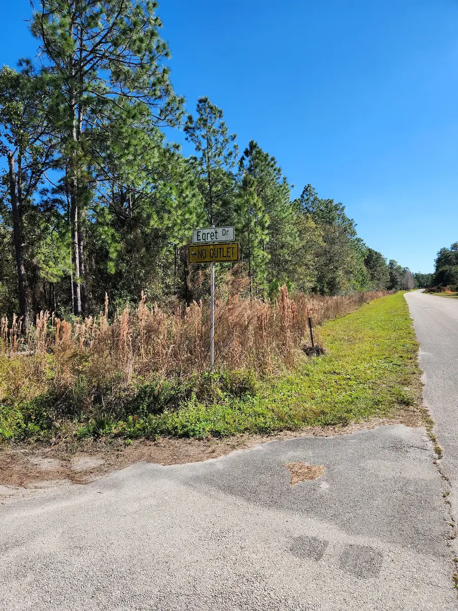 Egret Drive, Frostproof, FL 33843 - #2