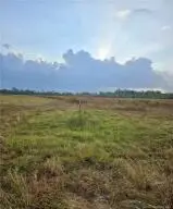 0 Turps Rd., Ragley, LA 70657 - Image #3