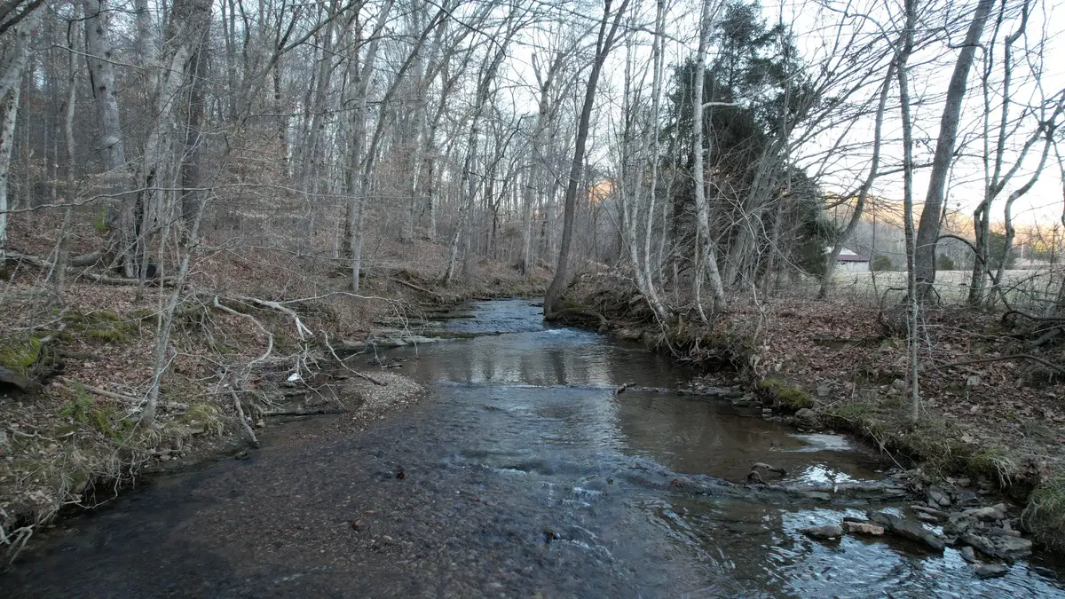 3795 Wayland Springs Rd, Iron City, TN 38463 - #1