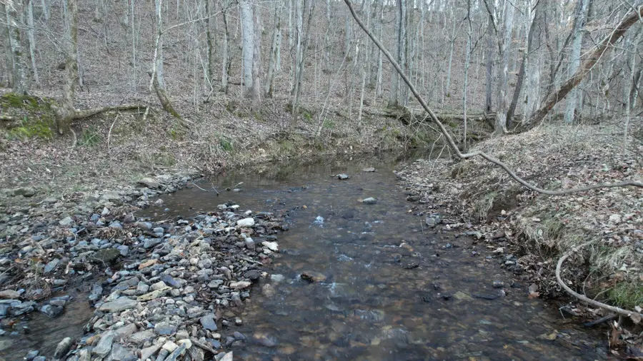 3795 Wayland Springs Rd, Iron City, TN 38463 - #3