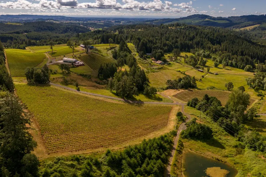 12000 NW Old Wagon Rd, Carlton, OR 97111 - #2