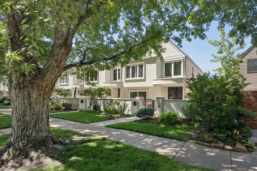 245 Adams, Denver, CO 80206 - #3