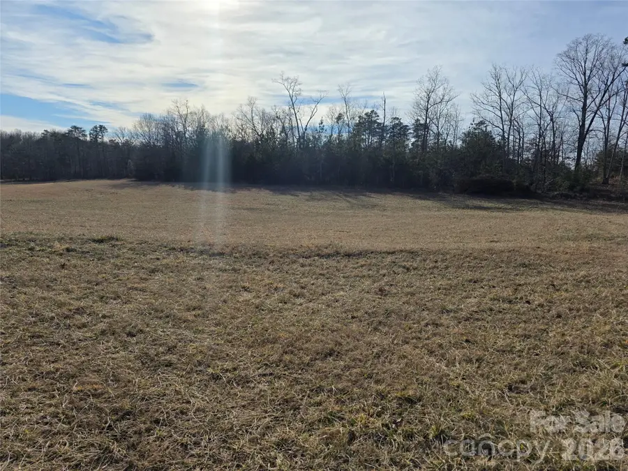 00 County Line Road, Green Creek, NC 29139 - #2
