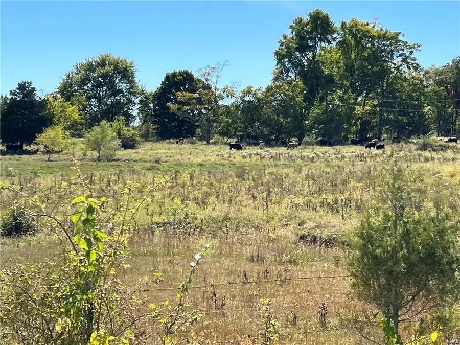 0 Hunt Road, Farmington, MO 63640 - Image #2