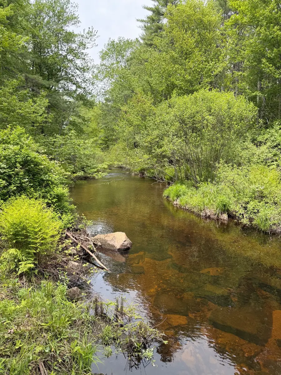 316 Tucker Mill Road, New Boston, NH 03070 - #3