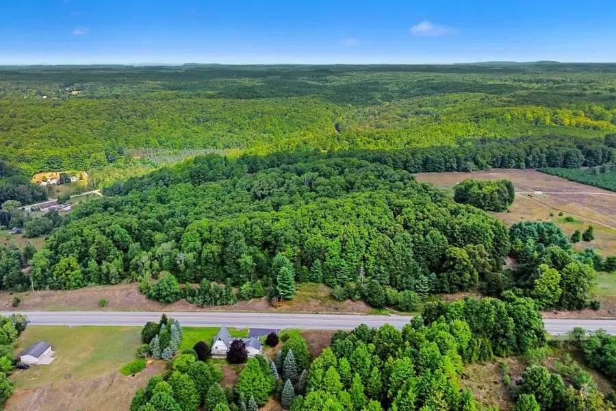 Parcel A, Honor Highway, Honor, MI 49640 - #2