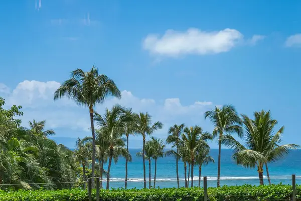 1 Bay Dr #5102, Lahaina, HI 96761
