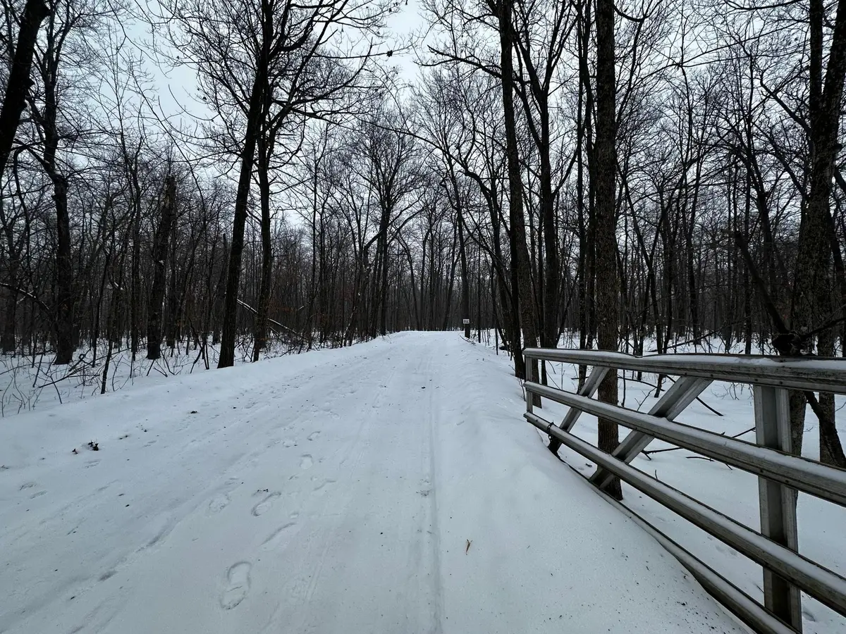 XXX Wilson Lake Drive, Deerwood, MN 56444 - #1