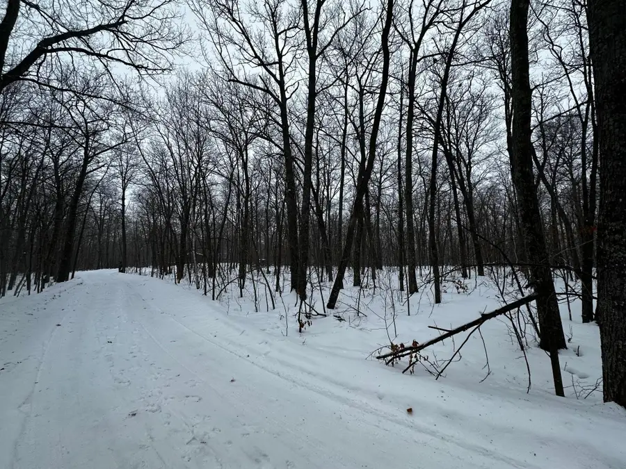 XXX Wilson Lake Drive, Deerwood, MN 56444 - #2