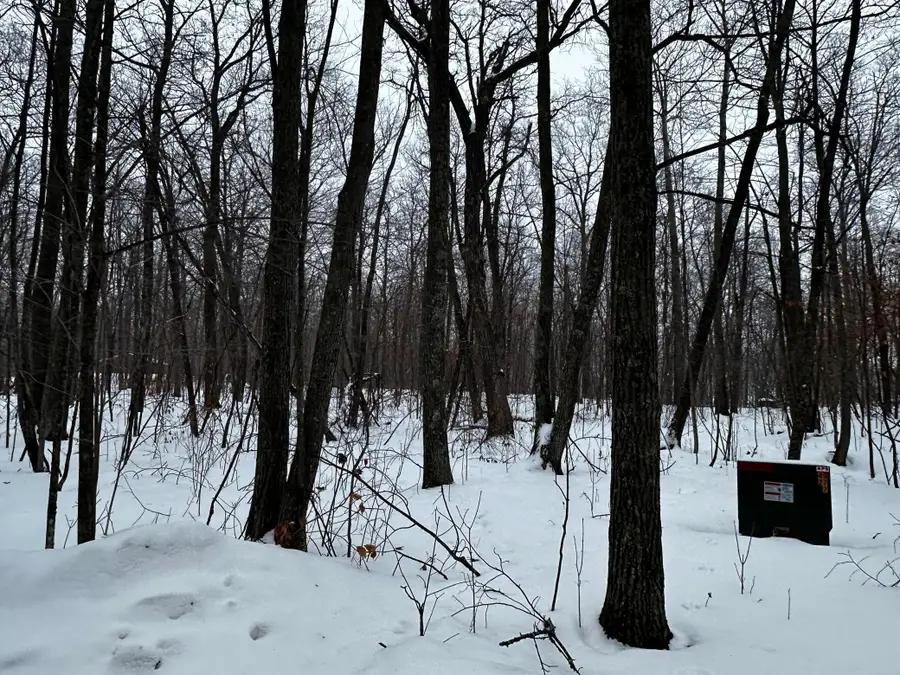 XXX Wilson Lake Drive, Deerwood, MN 56444 - #3