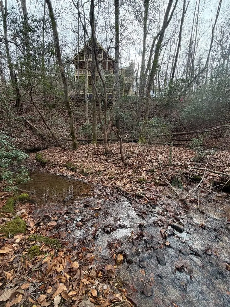 LOT A Magnums Trail #A, Blue Ridge, GA 30513 - Image #2