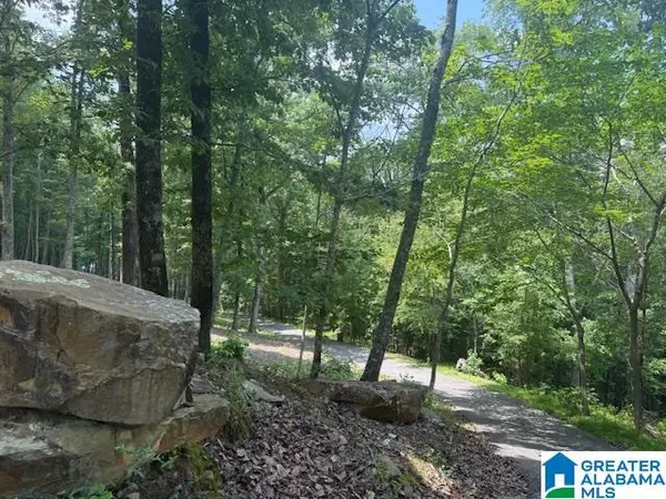 62 BLUEBIRD LANE, Springville, AL 35146