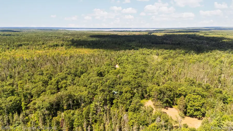 3265 Roost Road, Onaway, MI 49765 - #3