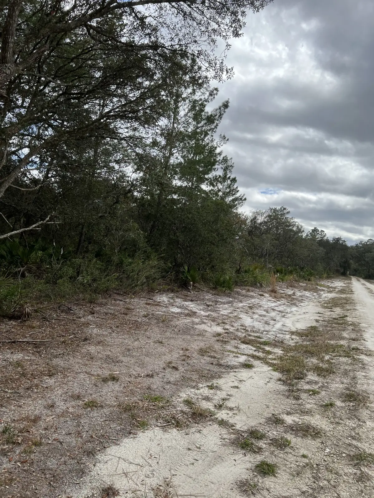 0 NE 144th Court, Fort McCoy Anthony, FL 32134 - #1