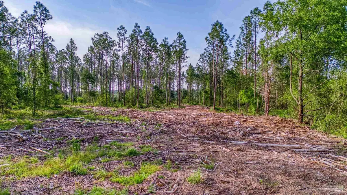 0005 Martin Rd, Milton, FL 32570 - Image #1