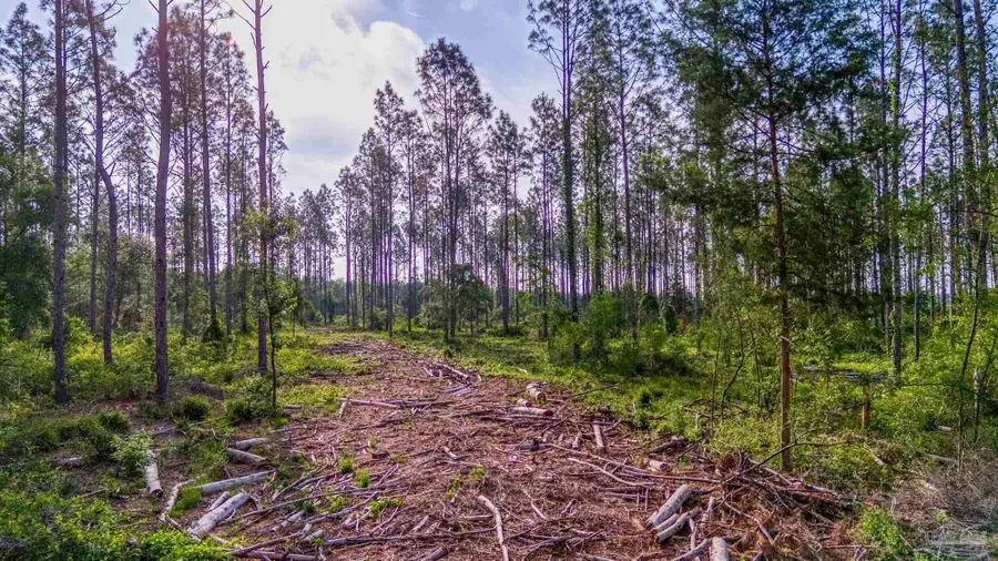 0005 Martin Rd, Milton, FL 32570 - Image #3