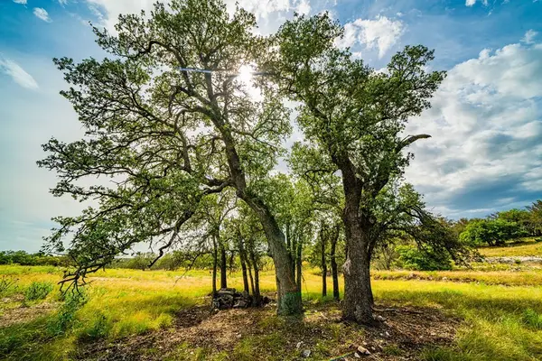 326 Blue Oak Tr, Harper, TX 78631