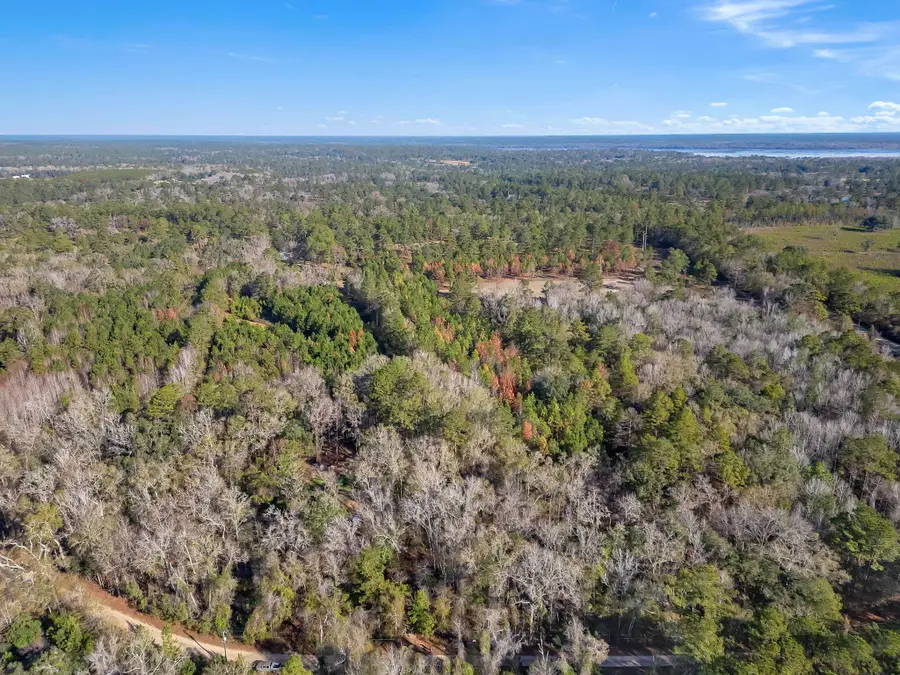15196 Casland Drive, Tallahassee, FL 32309 - #2