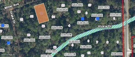 115 Miller Avenue, Crescent City, FL 32112 - Image #3